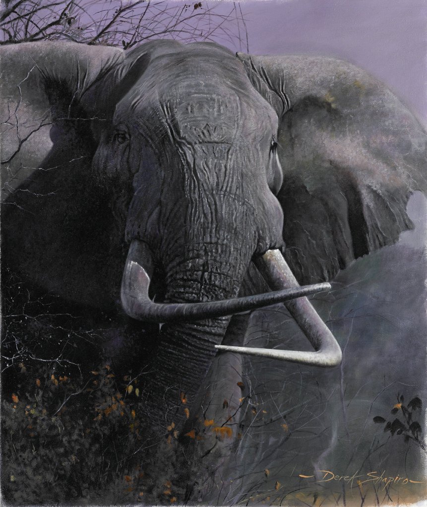 Oil painting of an African Bull Elephant with cross tusks